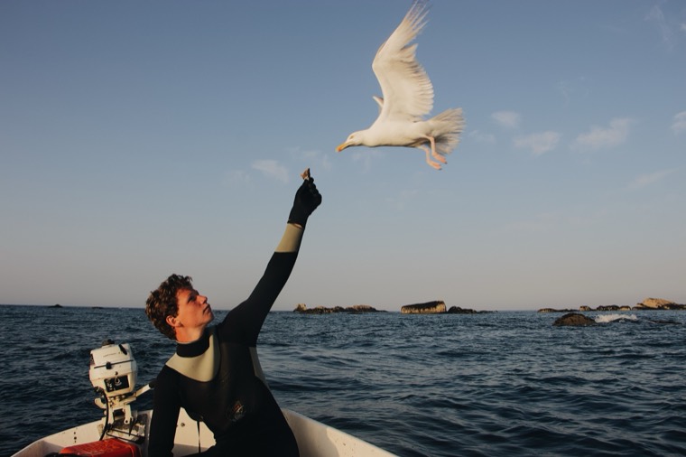 A person in a wetsuit standing in a small boat on calm sea, one arm raised to a gull hovering just above their hand.